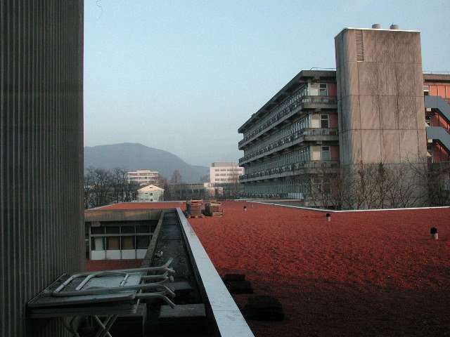 Original image